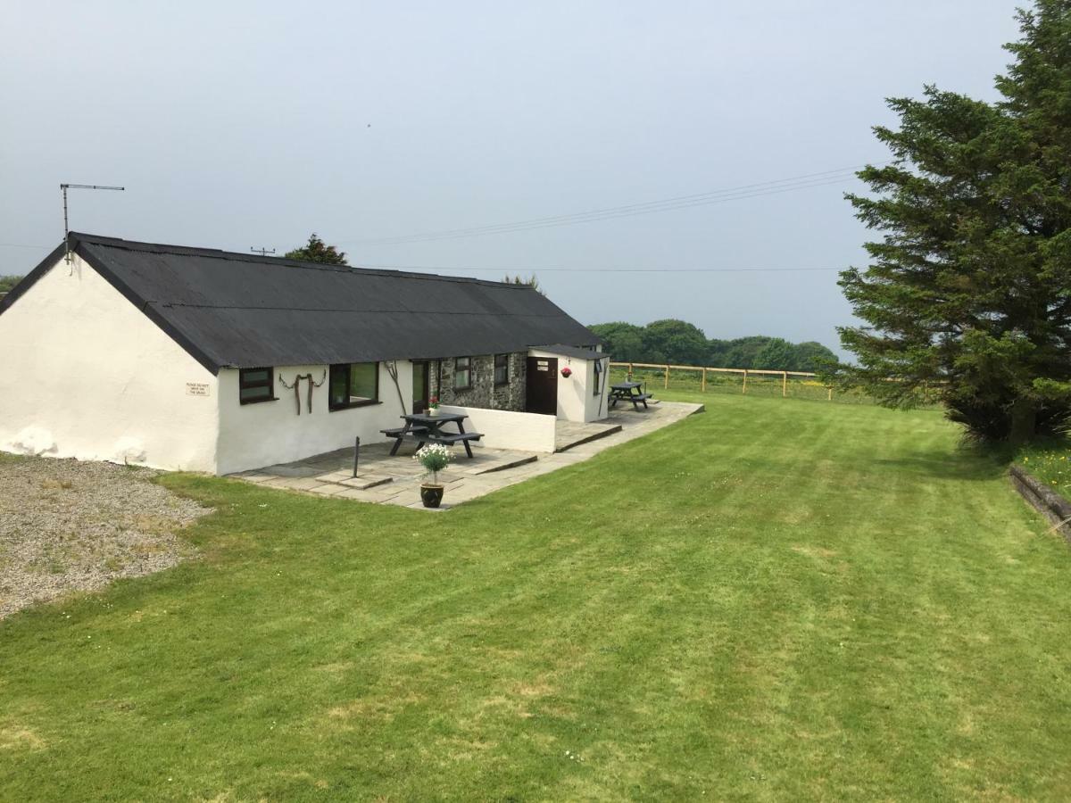 Byre Cottages & Log Cabin Cardigan Exterior photo